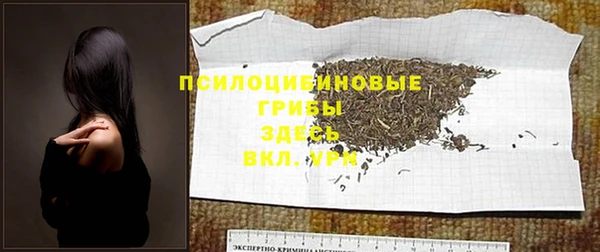 ГАЛЛЮЦИНОГЕННЫЕ ГРИБЫ Гусиноозёрск