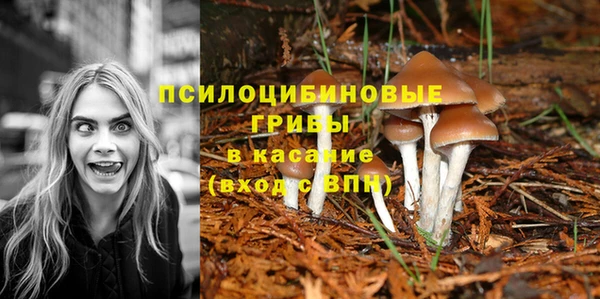 героин Гусев
