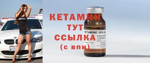 ГАЛЛЮЦИНОГЕННЫЕ ГРИБЫ Дмитриев