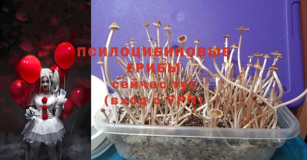 ГАЛЛЮЦИНОГЕННЫЕ ГРИБЫ Гусиноозёрск