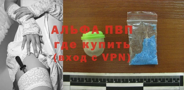 ГАЛЛЮЦИНОГЕННЫЕ ГРИБЫ Гусиноозёрск